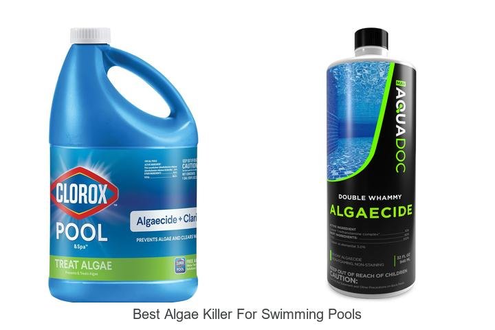 Top Algae Killer for Sparkling Pools You Need Now