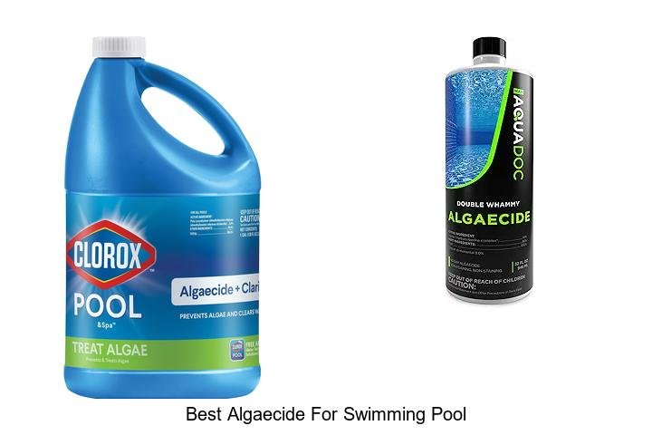 Top Algaecide Picks for Crystal Clear Pools