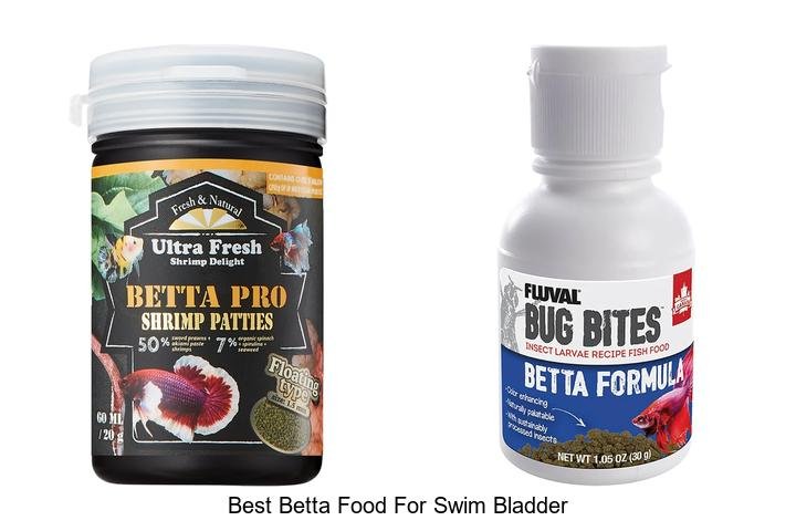 Top Betta Food to Fix Swim Bladder Instantly