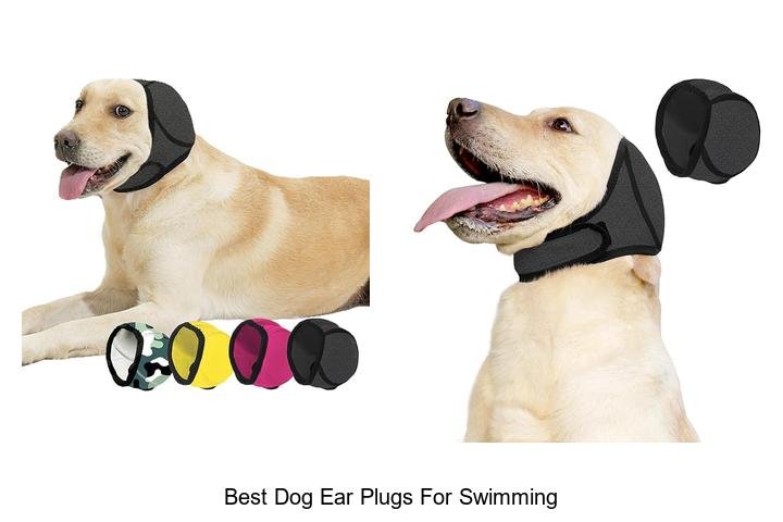 Top Dog Ear Plugs for Swimming You Must Try!