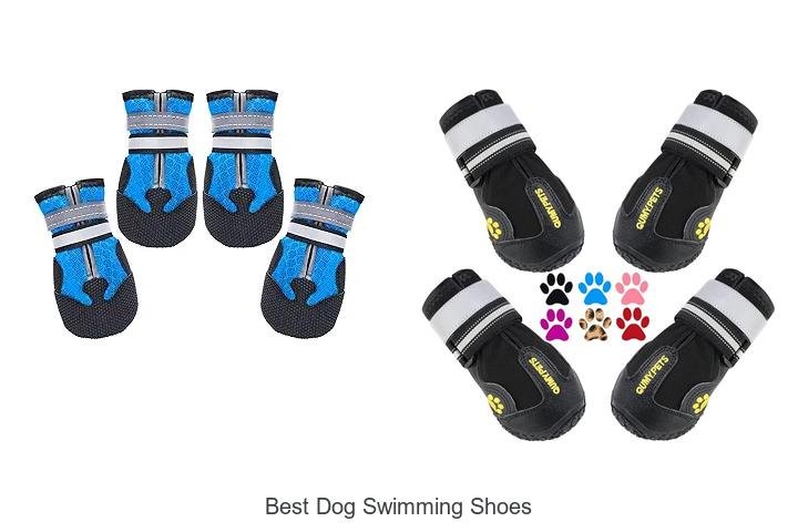 Top Picks for the Best Dog Swimming Shoes Today!