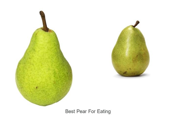 Discover the Juiciest Best Pear for Eating Now!