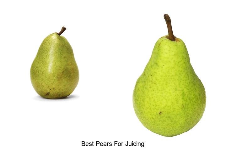 Discover the Best Pears for Juicing: Unlock the Flavor!