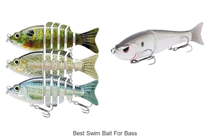 Top Swim Baits for Bass That Always Catch Fish!