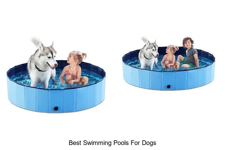 Top 7 Best Swimming Pools for Dogs: Ultimate Fun!