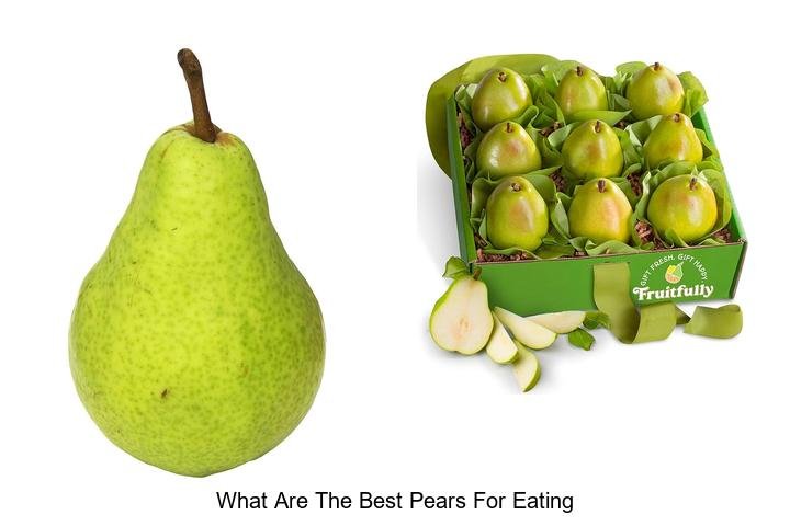 Discover the Best Pears for Ultimate Flavor