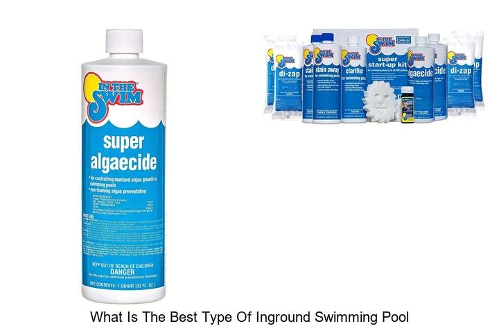 Discover the Best Inground Swimming Pool Type