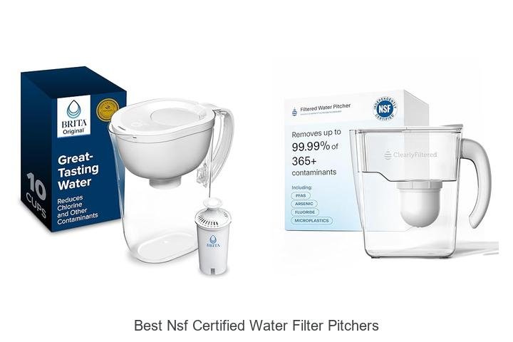 Best NSF Certified Water Filter Pitchers Everyone Loves