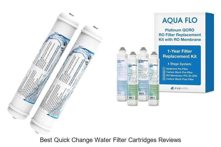 Best Quick Change Water Filter Cartridges Reviews Revealed!
