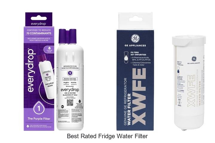 Best Rated Fridge Water Filter That Will Shock You!