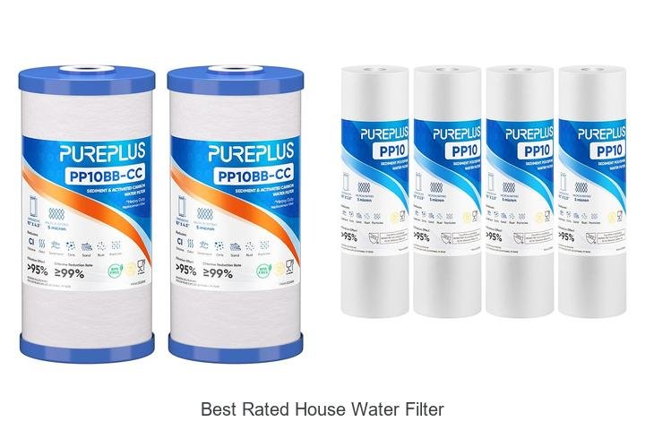 Best Rated House Water Filter You Can’t Live Without!