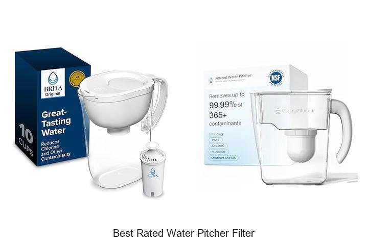 Best Rated Water Pitcher Filter That Will Blow Your Mind