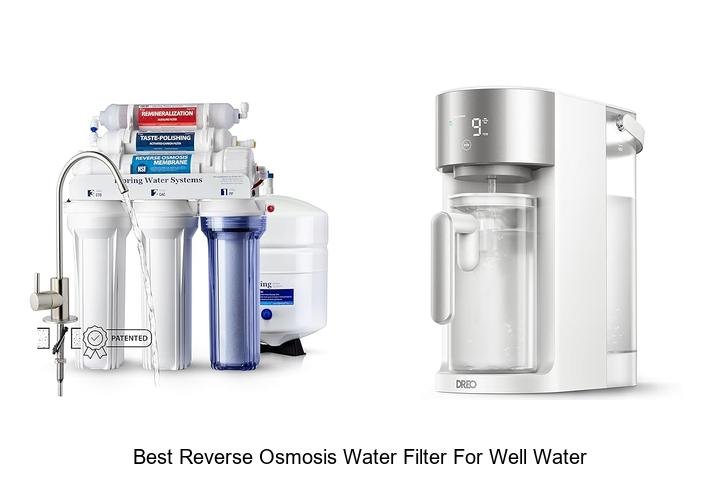 Best Reverse Osmosis Water Filter For Well Water You Need