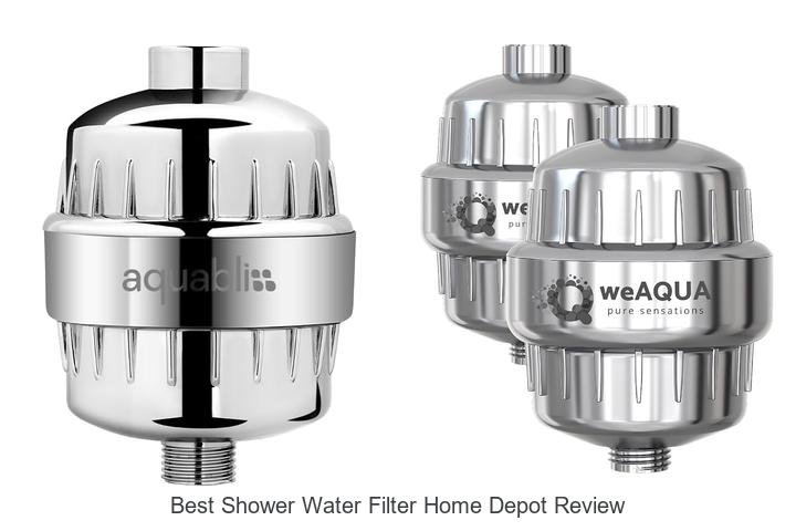 Best Shower Water Filter Home Depot Review You Can’t Miss